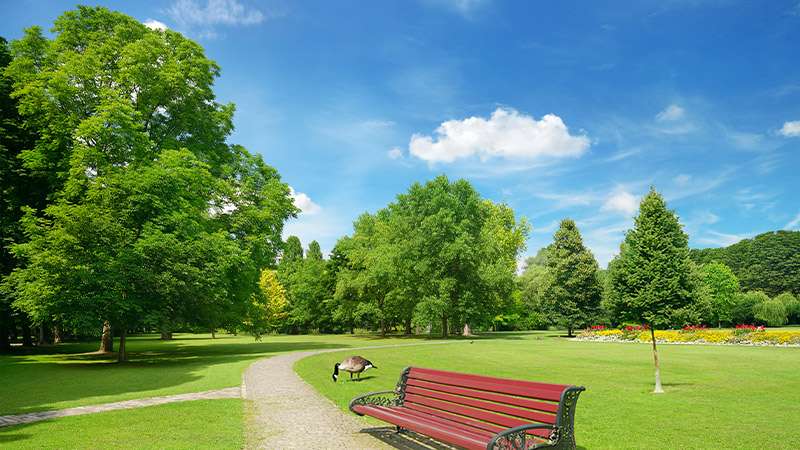 Assisted and Independent Living Community Park-Place-Senior-Living-Hendersonville-Tennessee-Assisted-Independent-Senior-Community