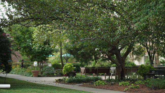 Park-Place-Senior-Living-Hendersonville-Tennessee-Grounds